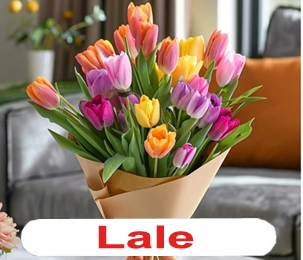 Lale